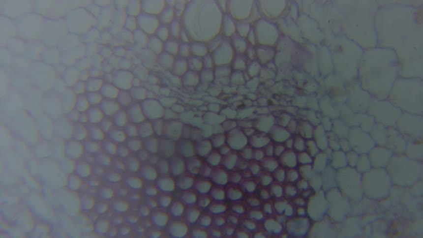 Frosted surface