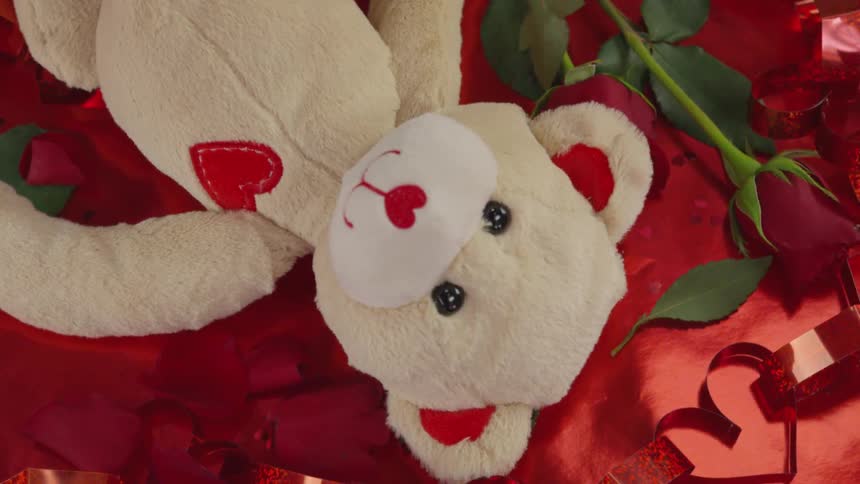 Birds eye view of white teddy bear with hearts on it