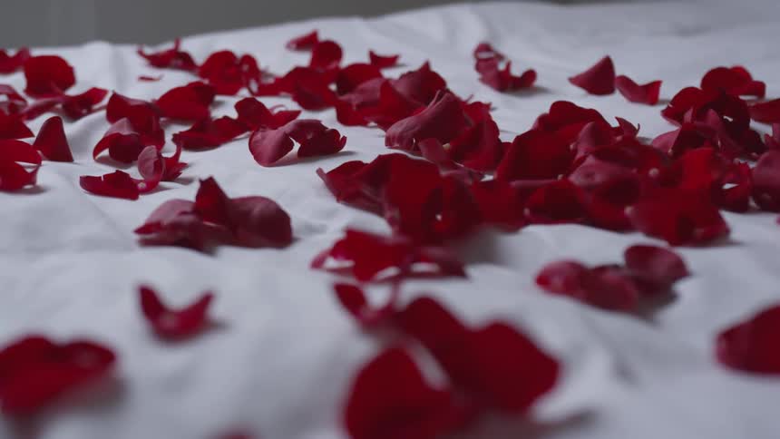Flower petals cover the top of a bed