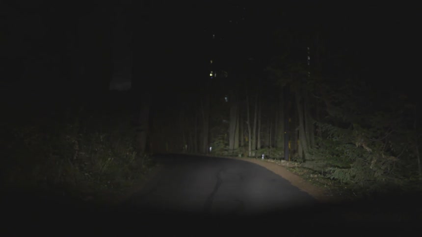 A road cutting through a forest at night