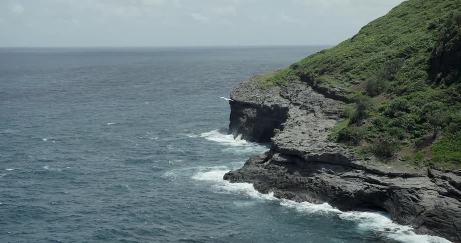 A seagull flies over the ocean and rocky beach