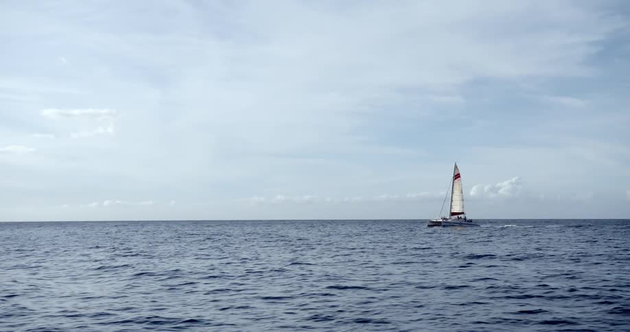 A sailboat drifting by on the water