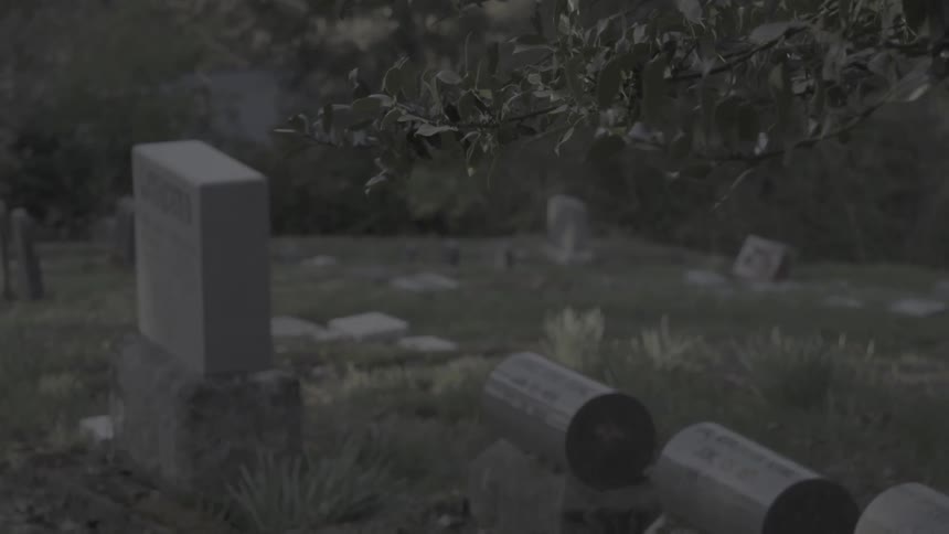 Graves in an unkempt graveyard