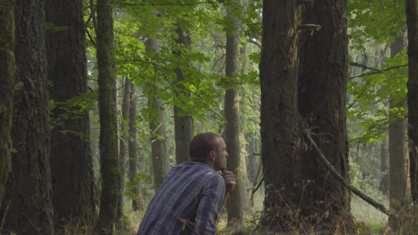 A white man squats in the forest and takes in the scenery