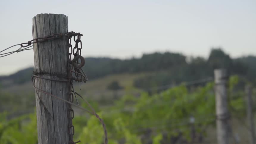 There is a wire fence with wooden posts near vegetation