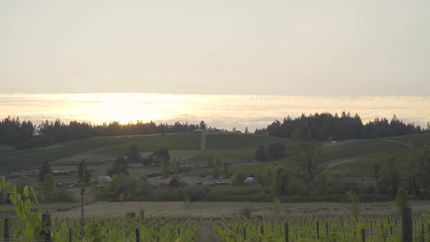 Farmland and rolling hills at sunrise