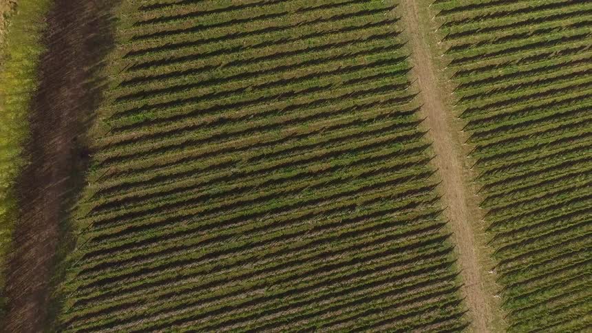 Twisting shot of farmland