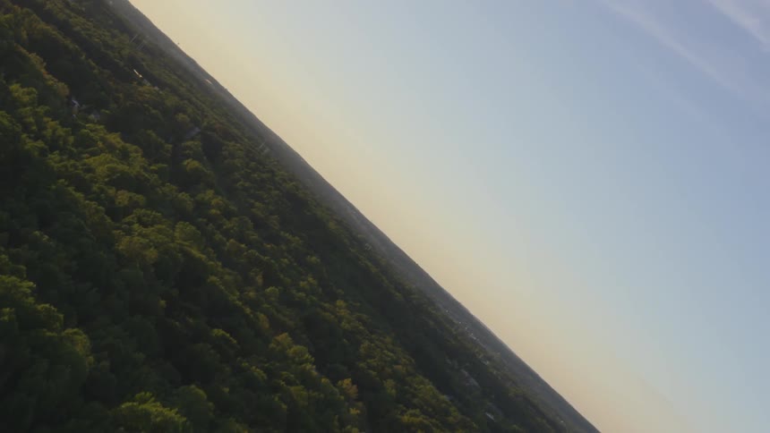 Landscape view of lush green forest