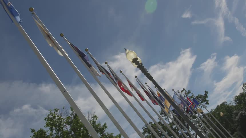 A single line of various flags lined up near a light post
