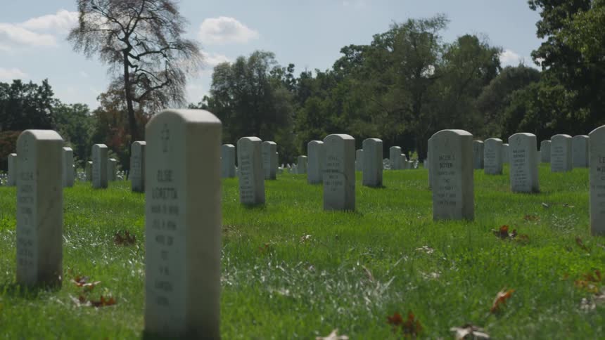 Numerous tombstones protrude from the ground in a grassy field surrounded by many trees