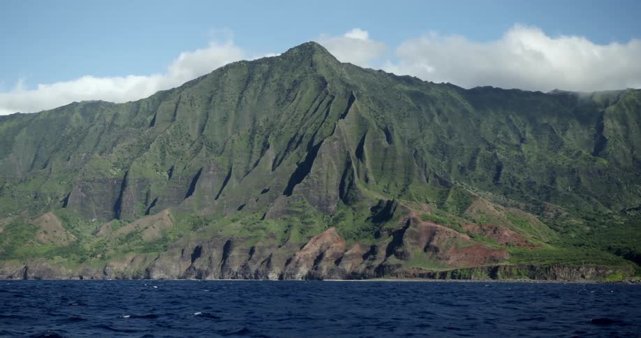 A grassy seaside hill on a sunny day