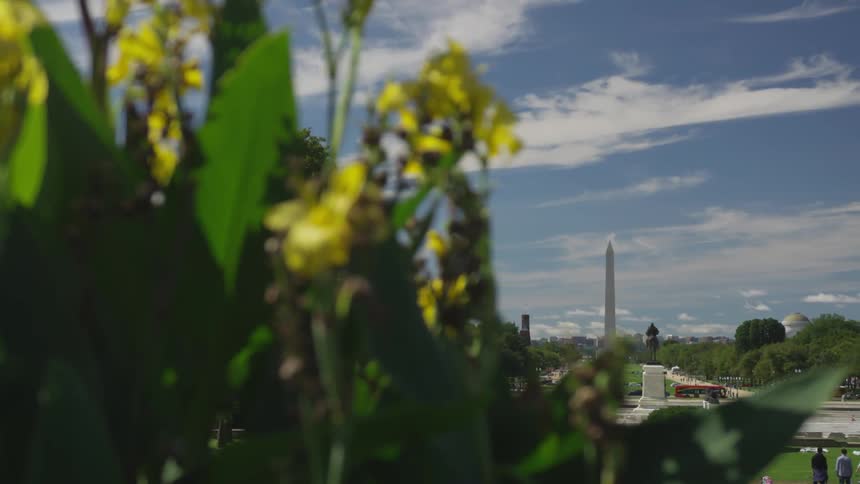The washington monument in the distance at the end of a field