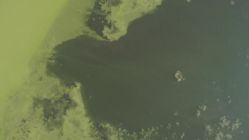 An aerial shot of a body of water surrounded by land