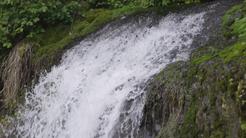 A waterfall in the middle of a forested area