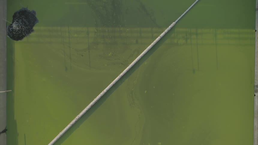 A pond of murky water is contained in cement with a bubbling feature