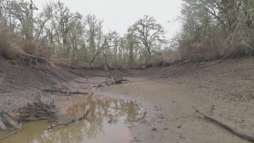 Pools of water sit in a muddy creek bed