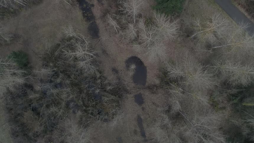 Rotating shot of a field