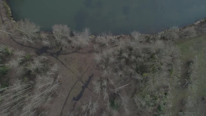 Flying over trees in a forest up to a lake