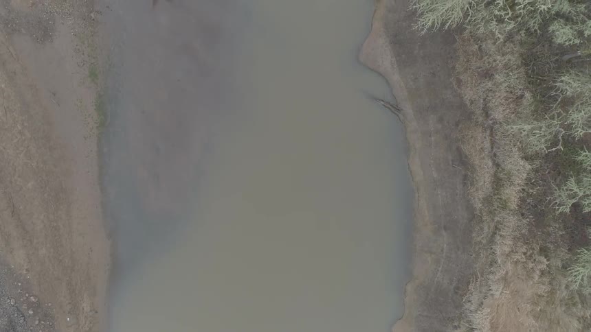 Flying over a river that is in the middle of a forest