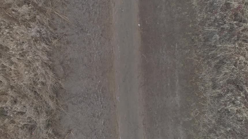 Dirt road among the withered grass in the daytime