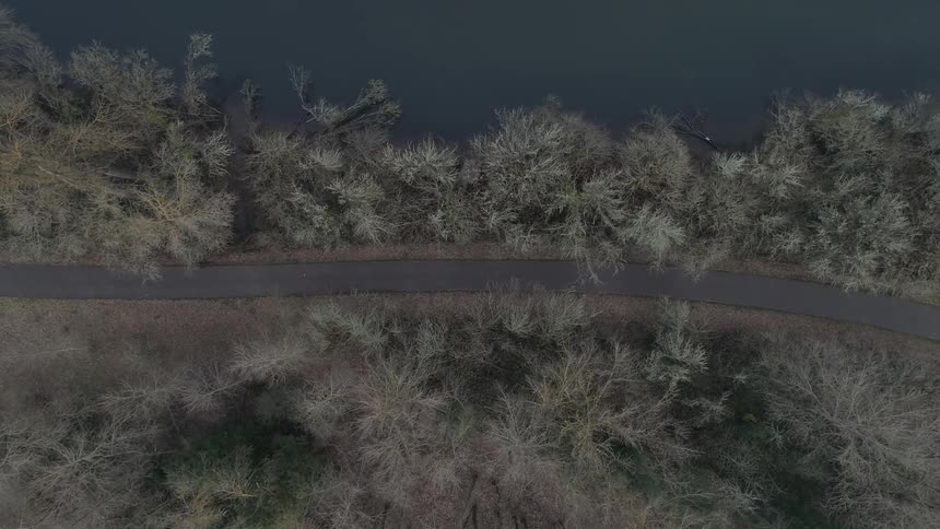 A tree lined road sits nestled beside a body of dark water