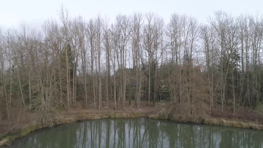 A lake is surrounded by leafless and coniferous trees