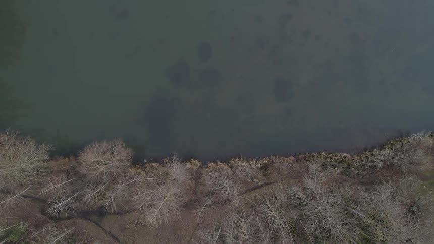 Aerial view of the coast line