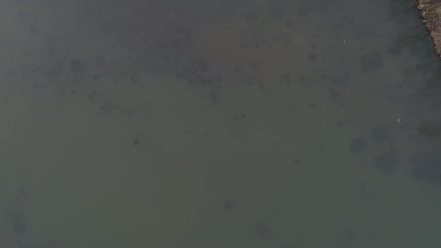 Dirty water from a lake