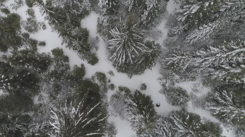 A person walks through a snow covered forest