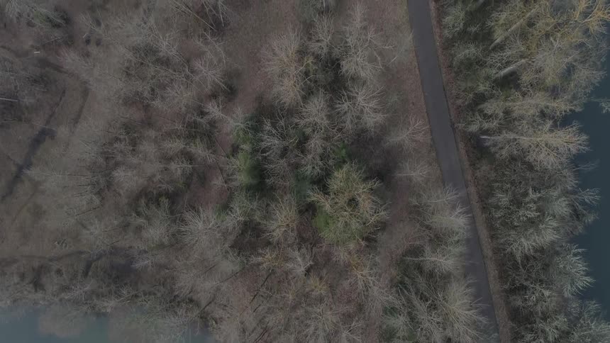 A road with woods and a lake