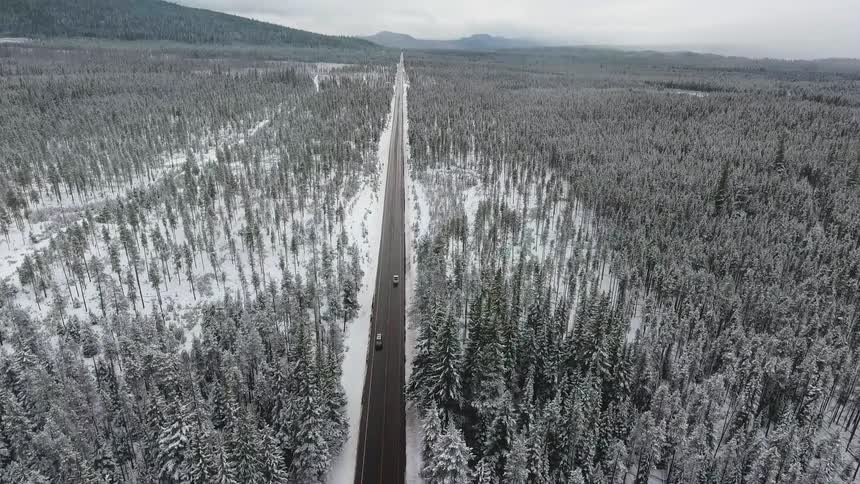 A highway runs through a snow covered forest