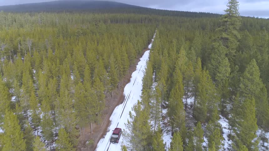 Truck driving on a snowy road through a pine forest