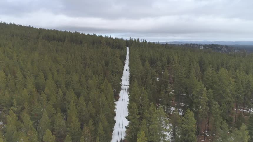 A snow covered road running through a forest