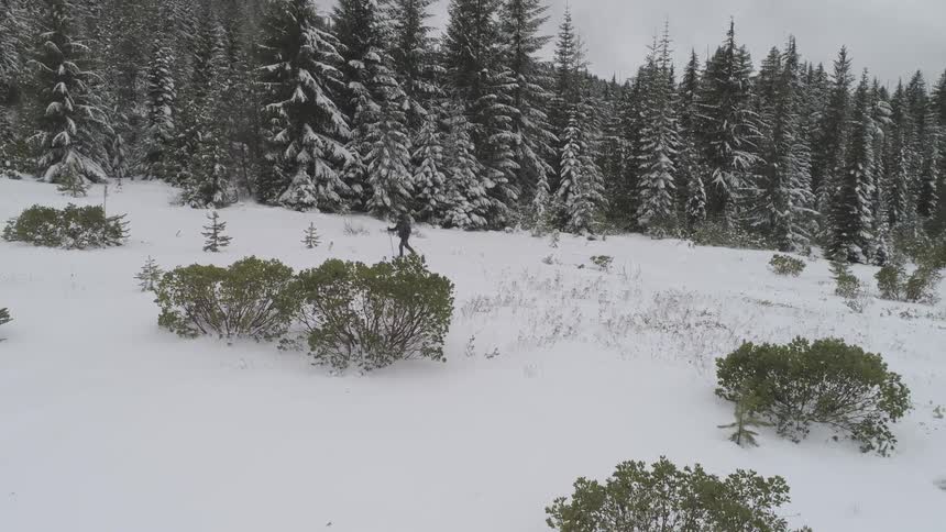 A person working in the snow