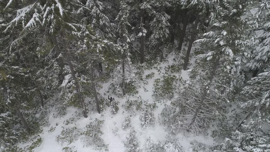 A man is walking through the forest in the snow on skis alone