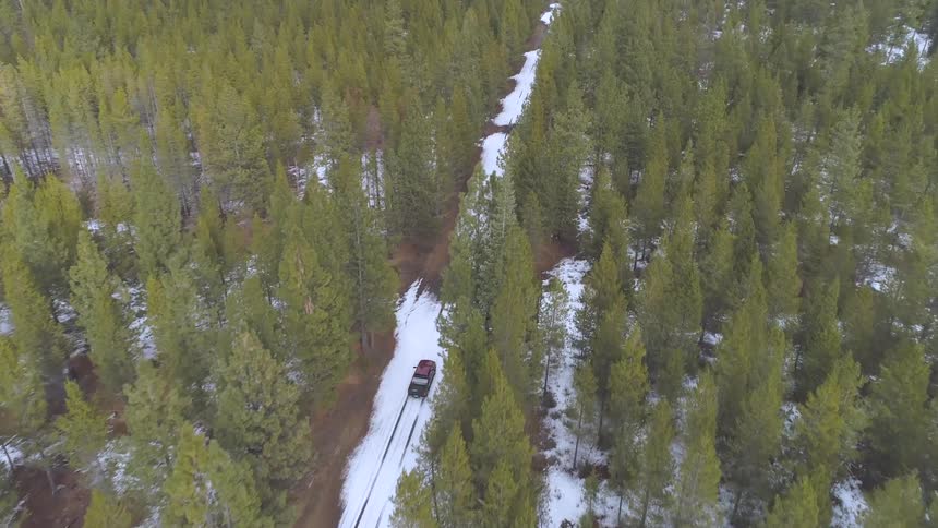 Car travels down a snowy road in the forest