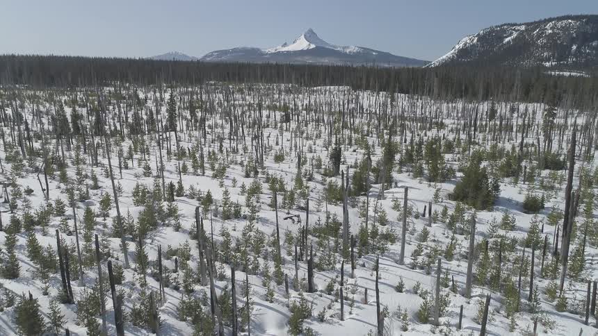 Camera flies over a snowy forest with mountains in the distance