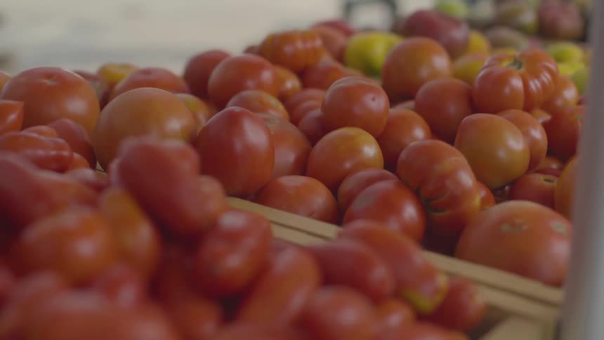 Baskets of red and green tomatoes sit undisturbed