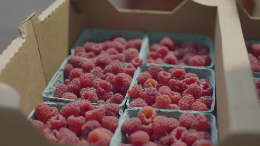 Pints of raspberries in cardboard box