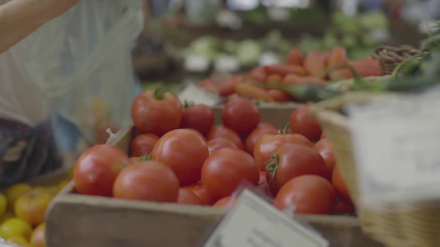 Woman picks tomatoes at market