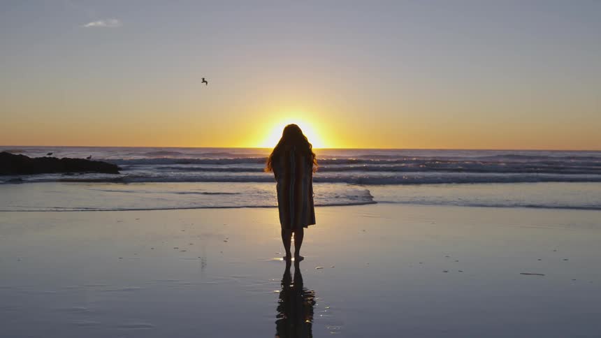 Woman stands on the beach looking at the setting sun