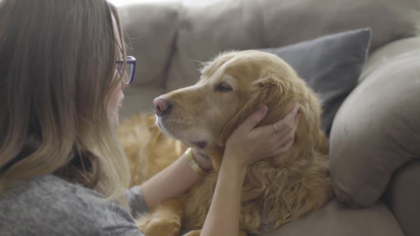 A young blonde woman with glasses consoles and pets a sad looking dog