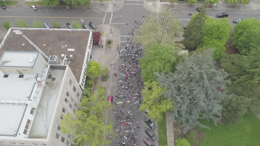 Crowd marches down city street