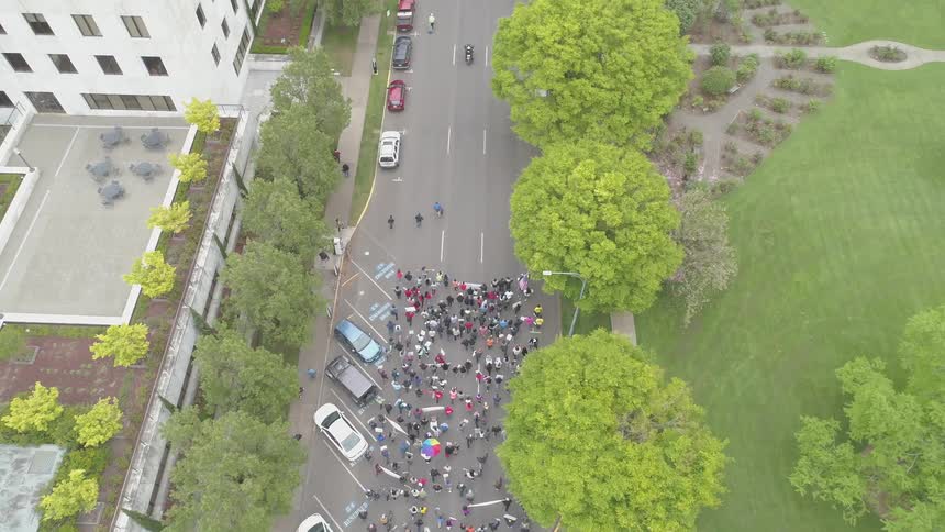 Crowd moves marches along road between buildings and ornate lawn