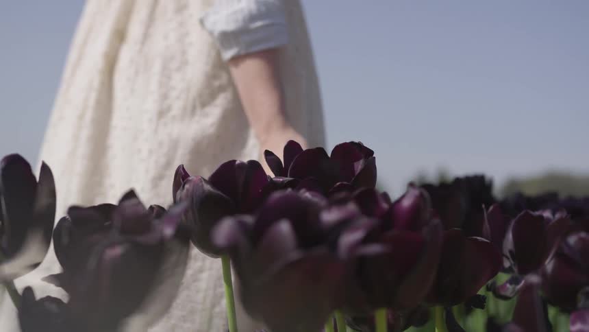 Woman runs hand through flowers as she walks