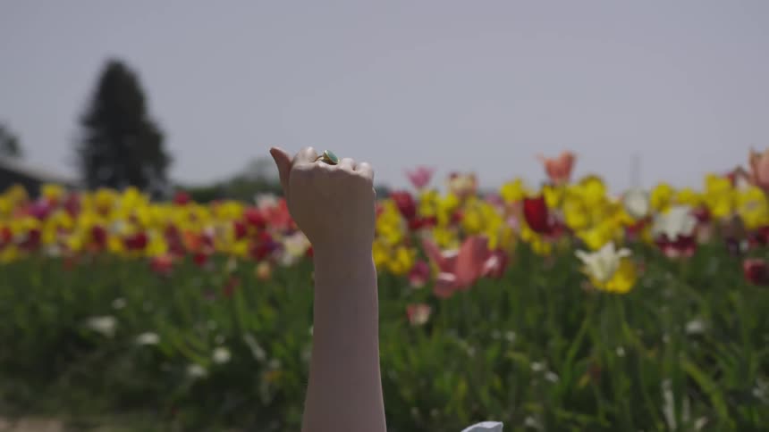 A woman with her hand in the air in a field of flowers