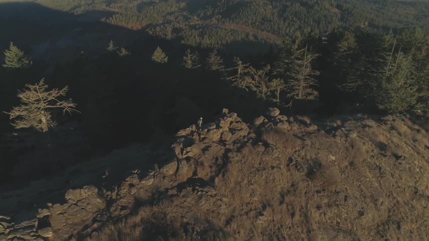 Camera flies over the mountains covered with forest