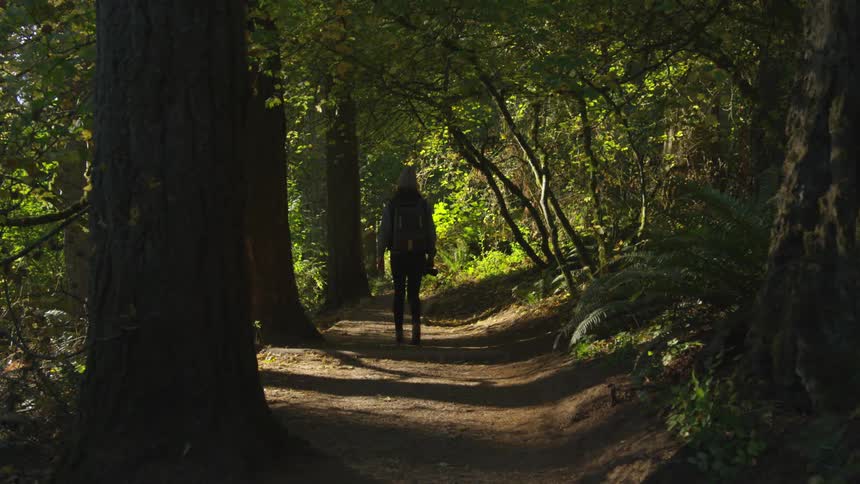 Person walks on path in forest while holding camera with large lens