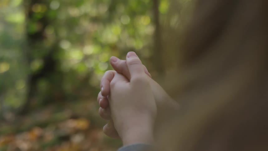 A person sitting in a forest with their hands folded