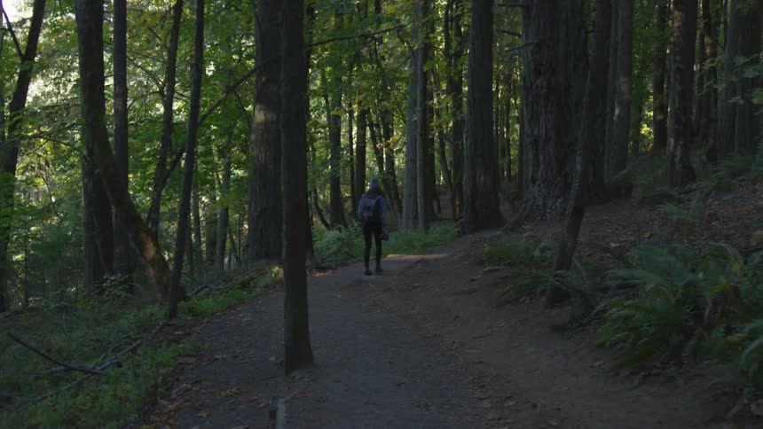 A person walking a trail in the woods